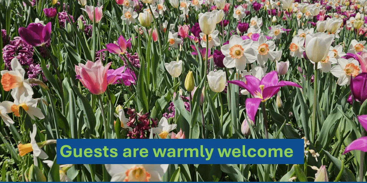 Welcome